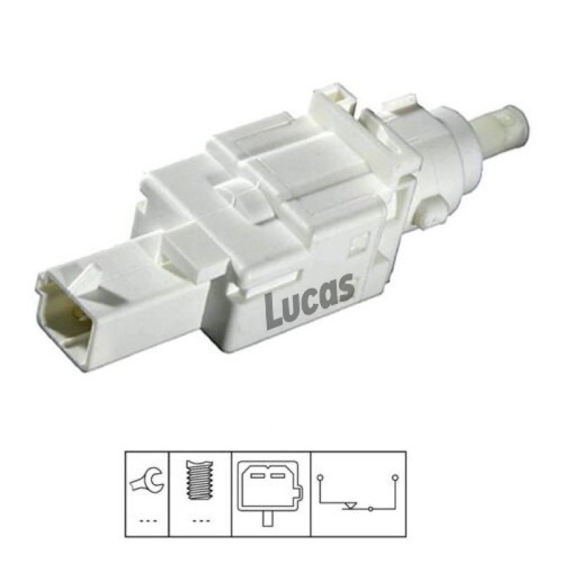 LEMS018