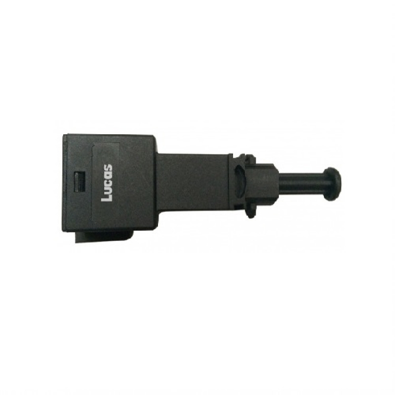 LEMS021
