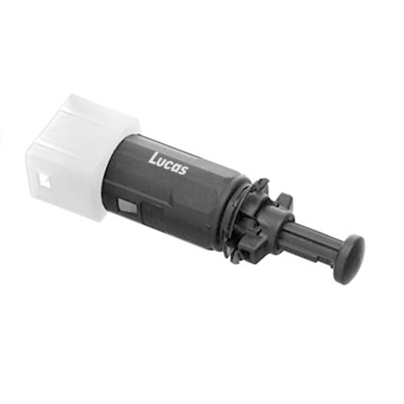 LEMS029