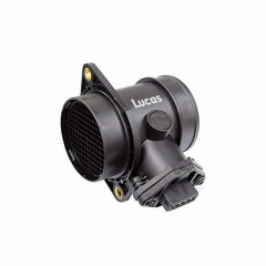 LEMSA007