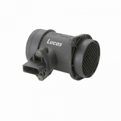 LEMSA010