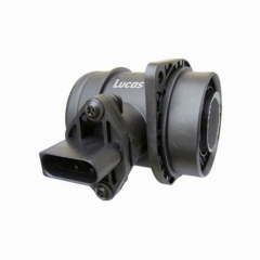 LEMSA012