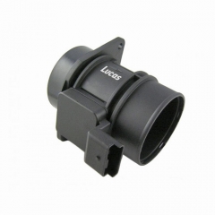LEMSA013