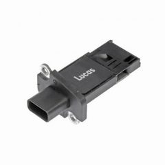 LEMSA021