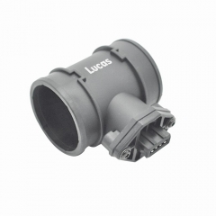 LEMSA061