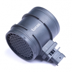 LEMSA096