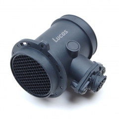 LEMSA109