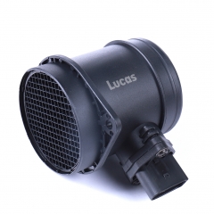 LEMSA113