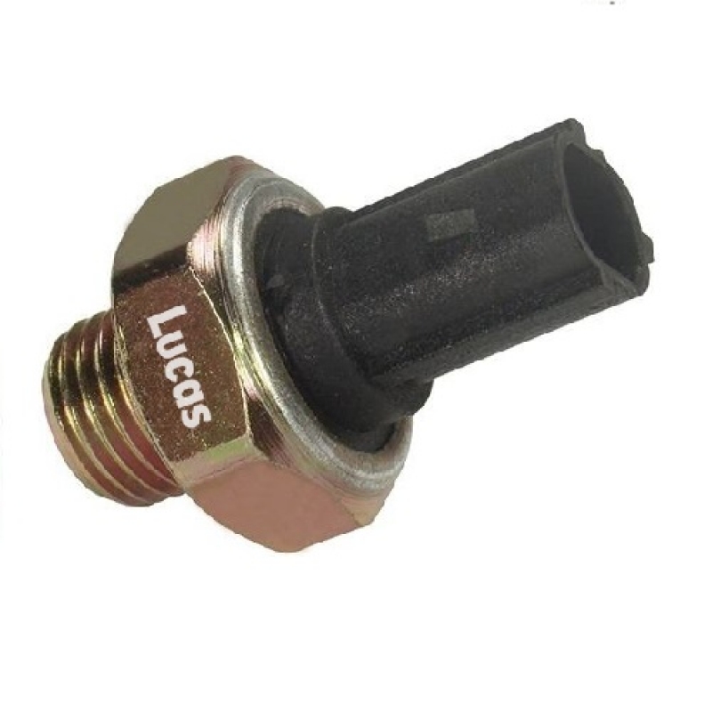 LEMSO011