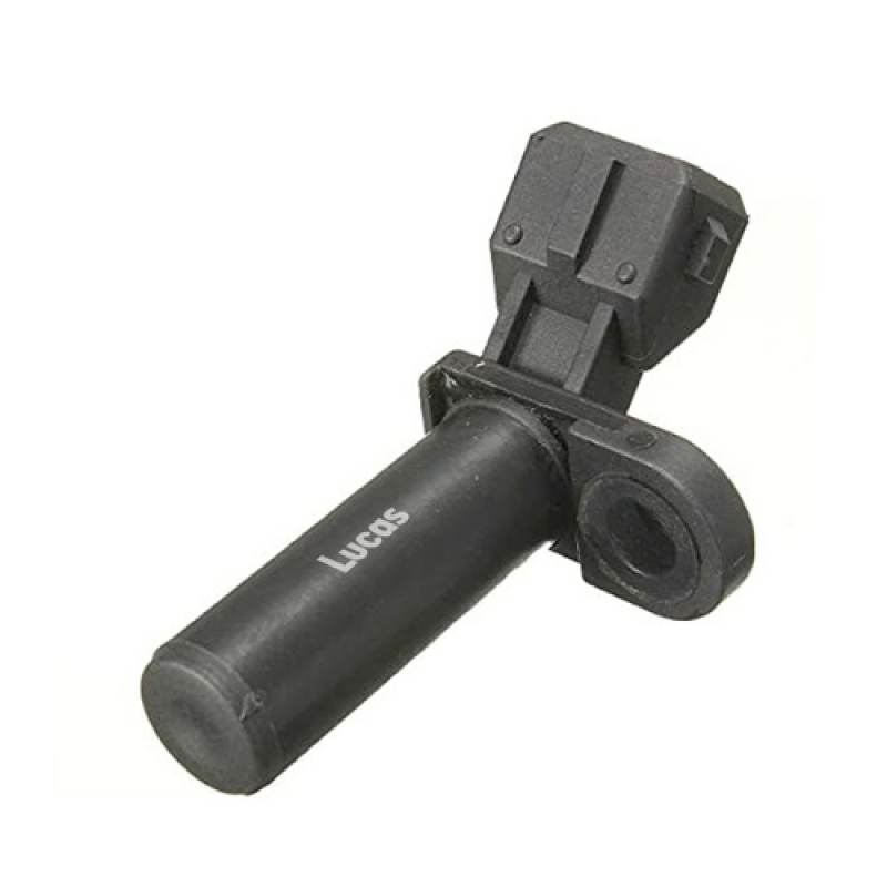 LEMSR010