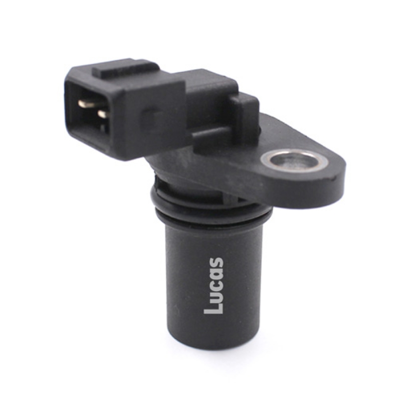 LEMSR011