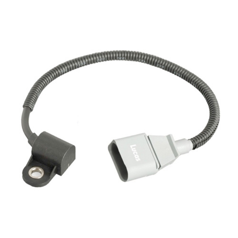 LEMSR022