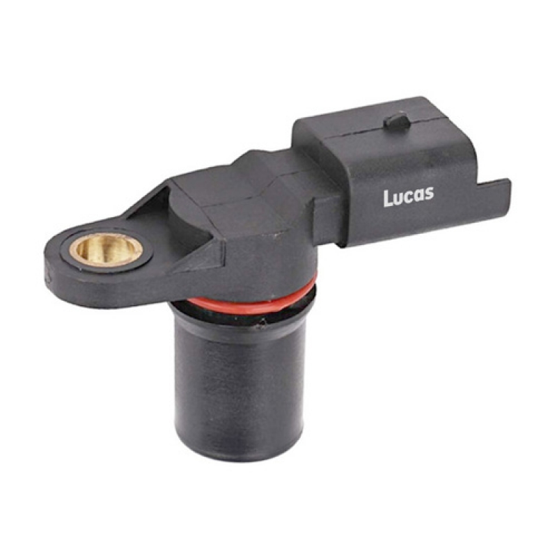 LEMSR095