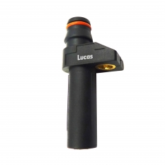 LEMSR113