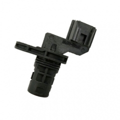 LEMSR207