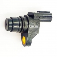 LEMSR217