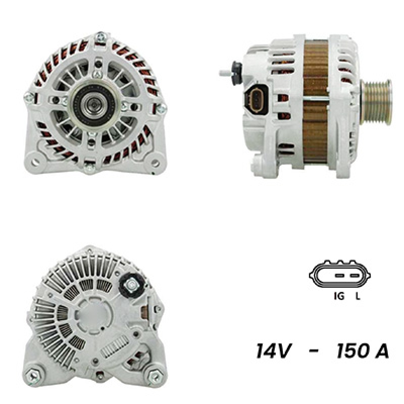 LRAN0TJ2481
