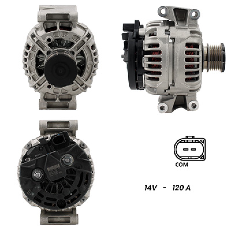 LRAN425077
