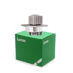 LWPN100